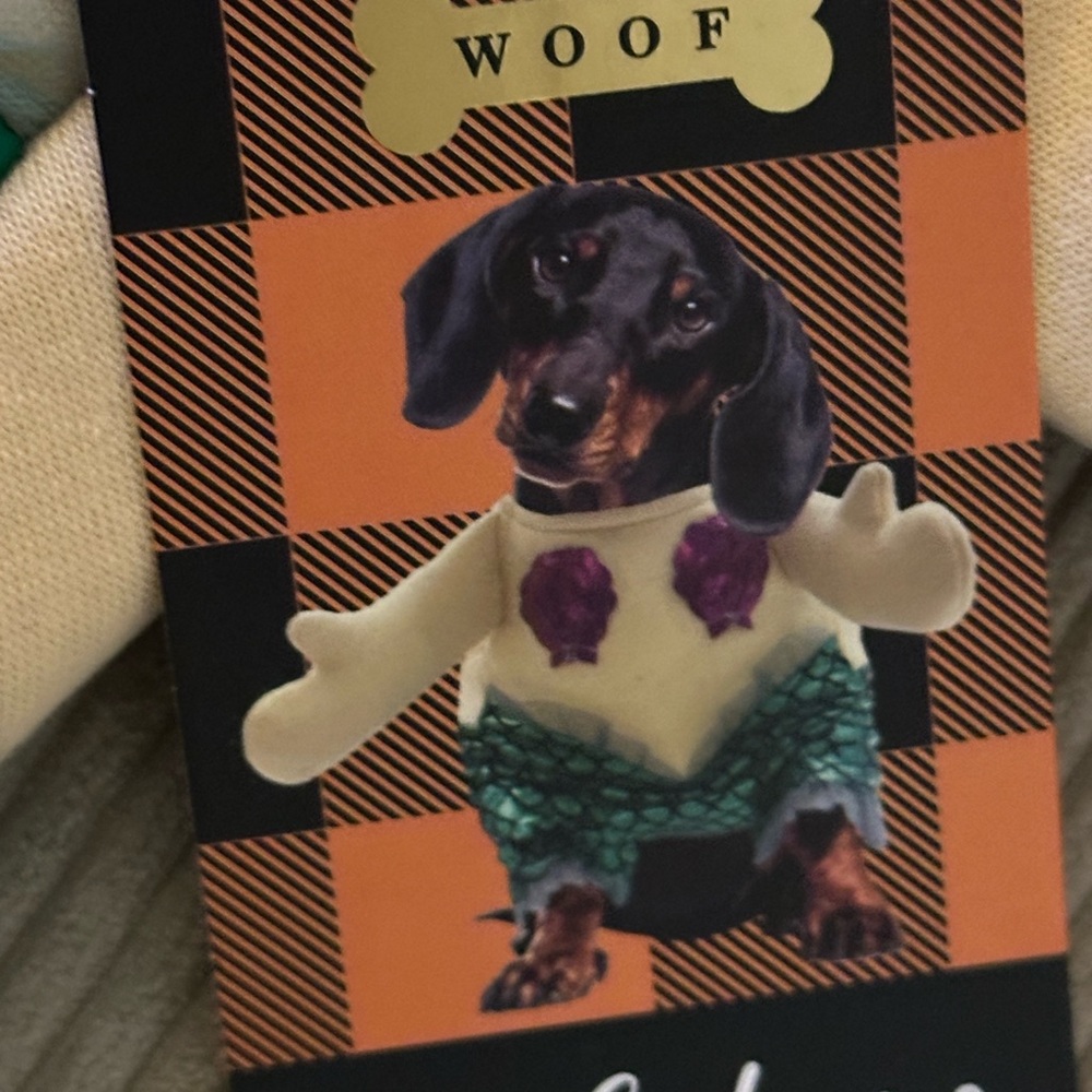 Mermaid Dog Costume with Purple and Green Scales S